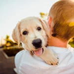 Qué hacer antes y después de adoptar un perro