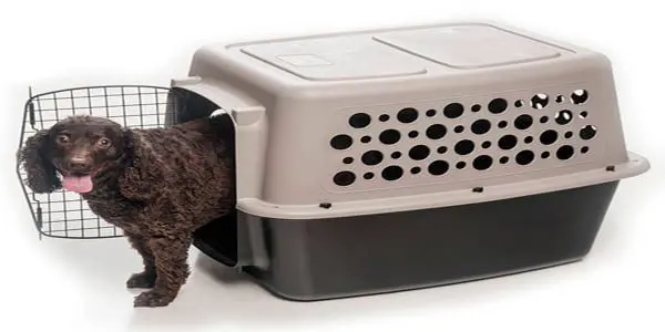 transportín rígido para perros