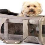 perro en trasportin de tela