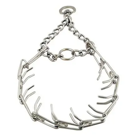 collar de puas para perros