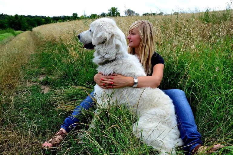 terapia-con-perros
