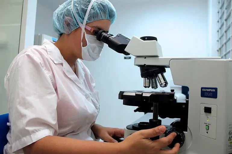 analisis-de-sarna-bajo-microscopio
