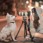 perros en video