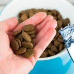 anadir agua al pienso para perros