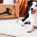 Pawit alimentacion canina