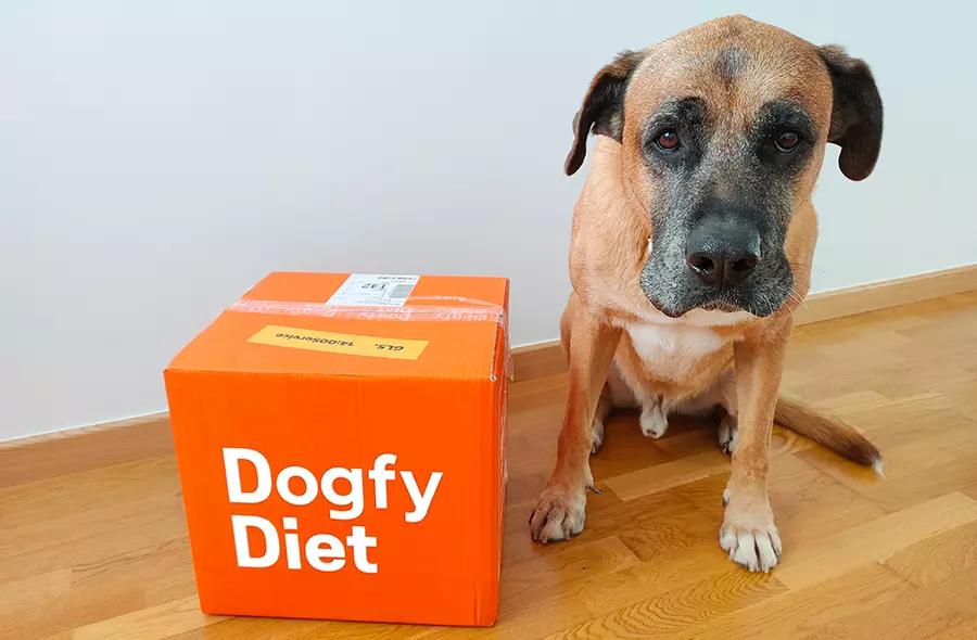 Vigilando la comida Dogfy Diet Vigilando la comida Dogfy Diet