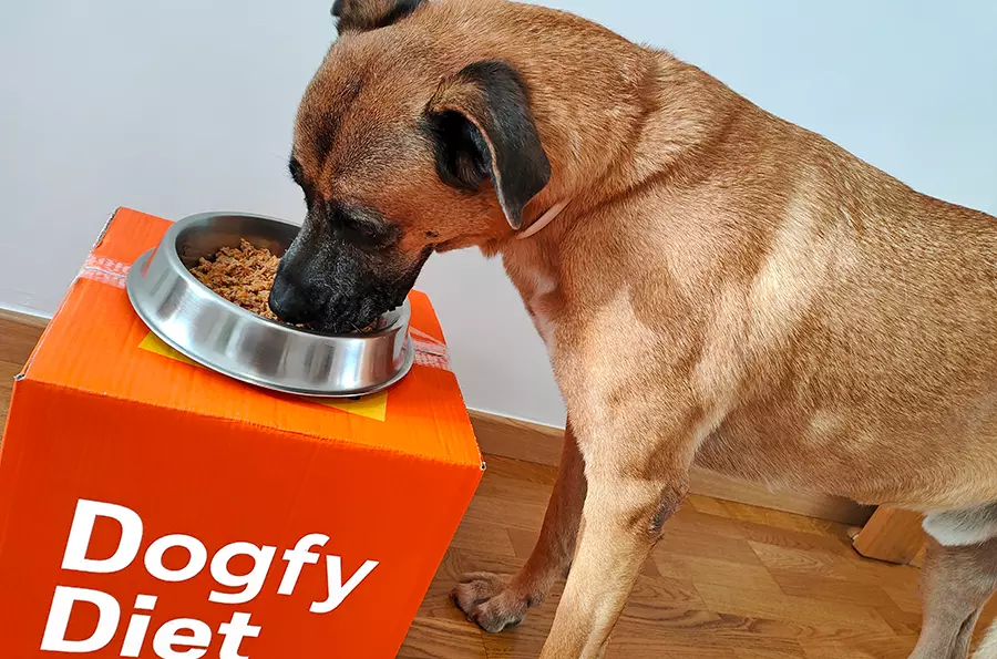 Yako disfrutando de Dogfy Diet Yako disfrutando de Dogfy Diet