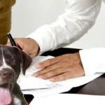 firma de poliza de responsabilidad civil